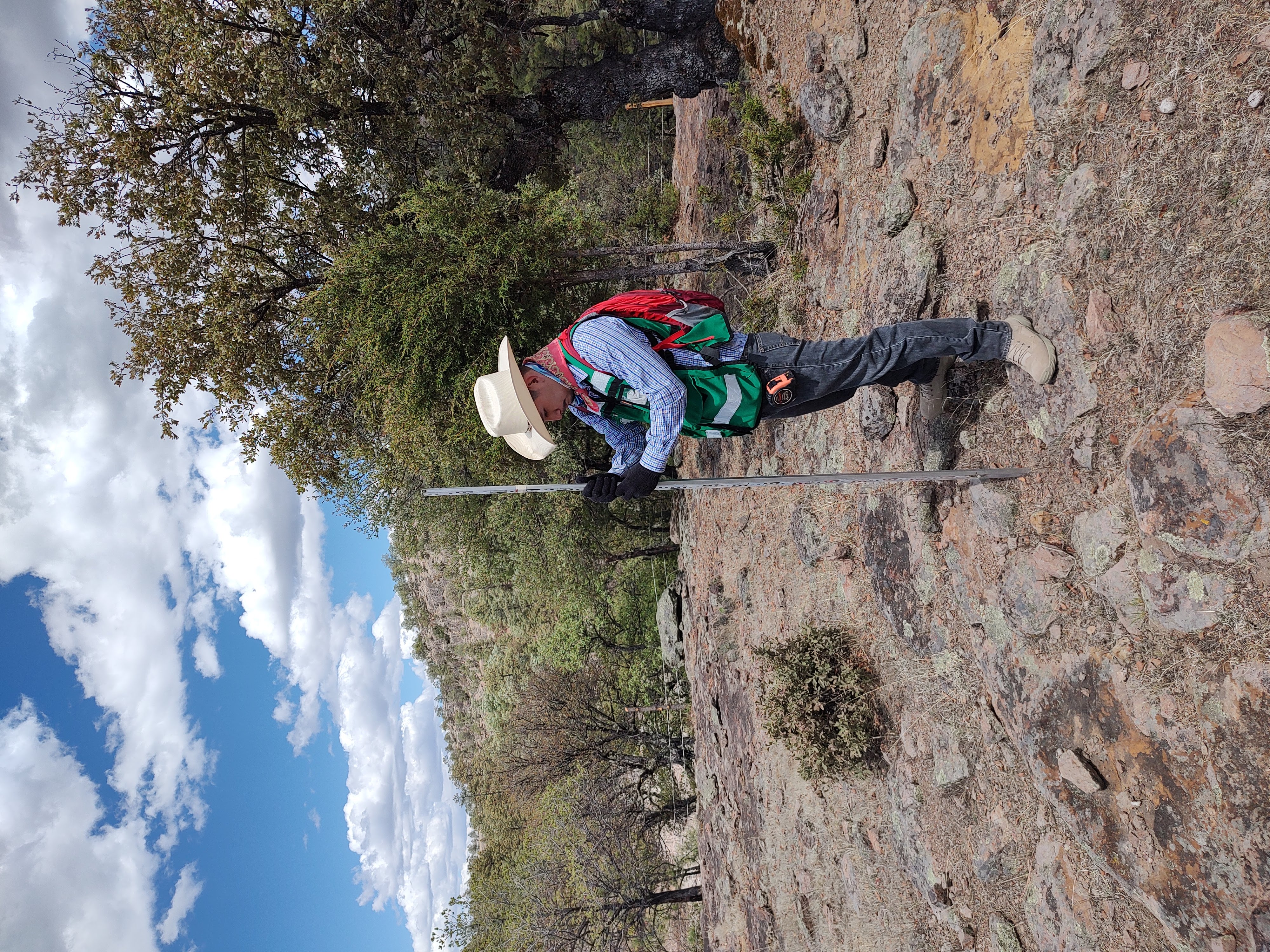 Proyectos de Restauración