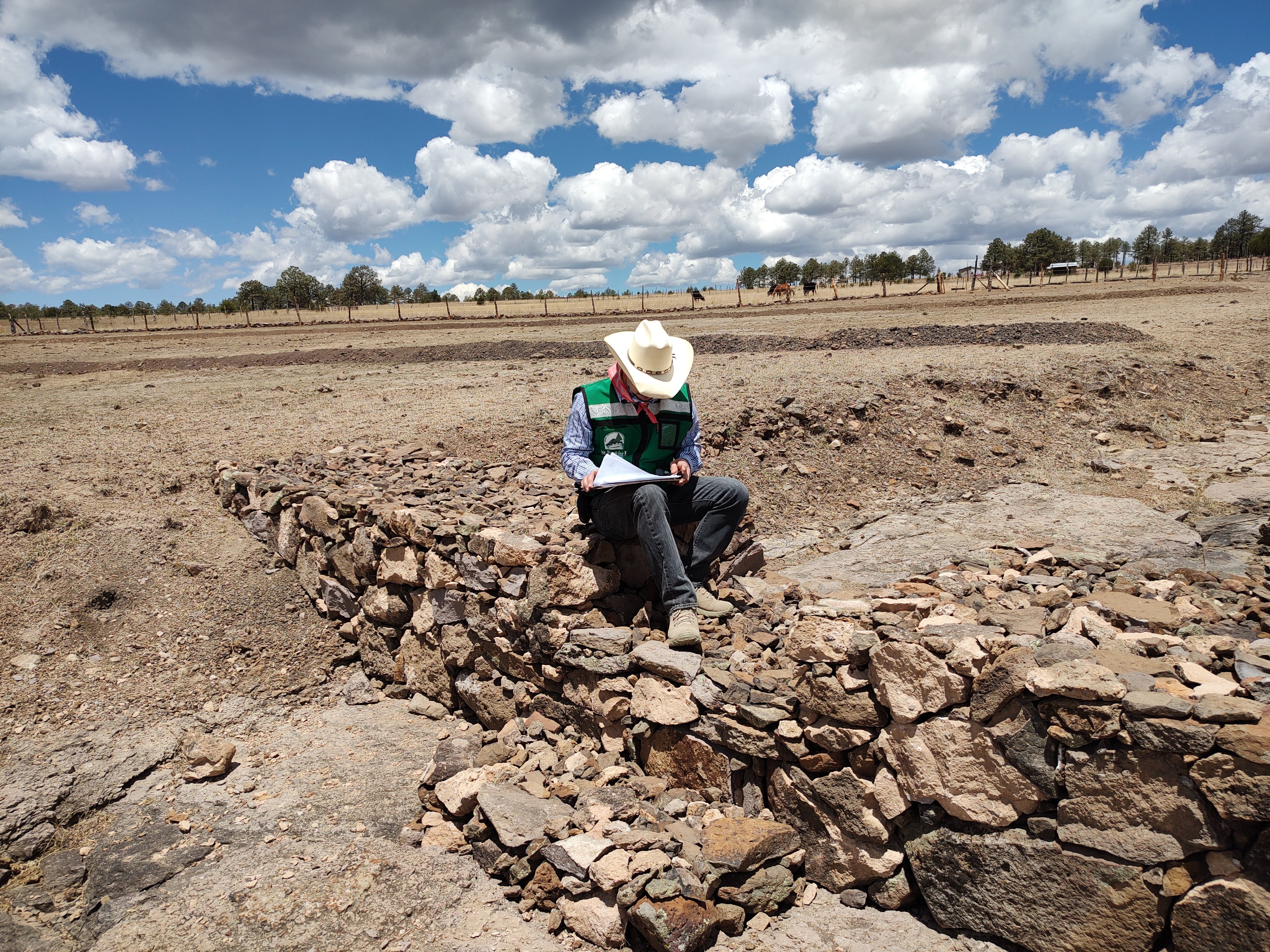 Compensación Ambiental